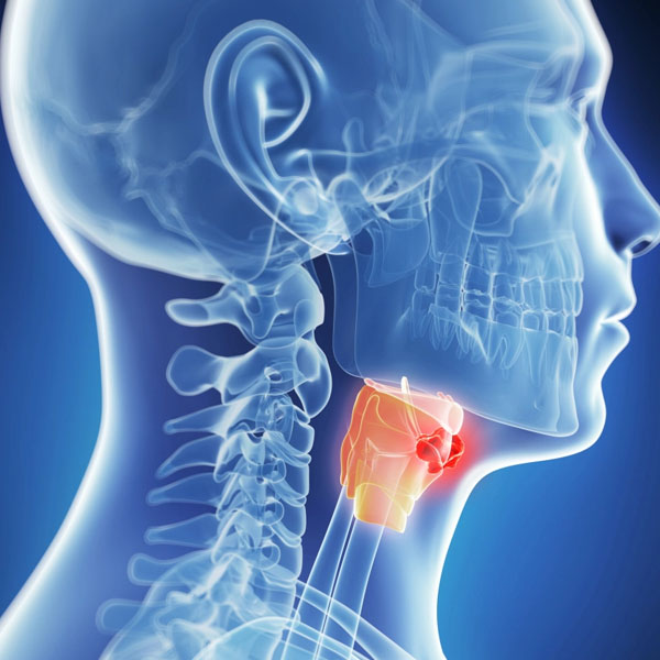 Impartiendo talleres presenciales "Prevención de Daño a la Voz"